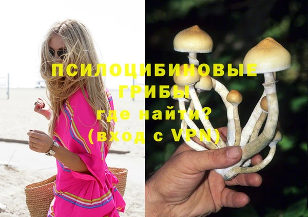 винт Надым