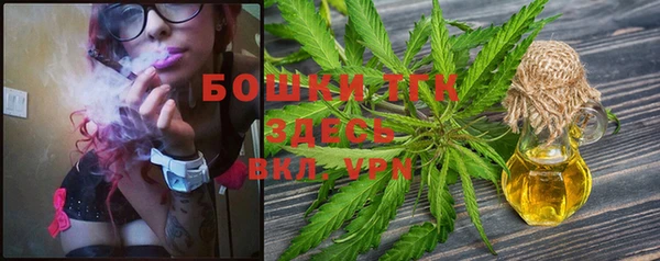 винт Надым