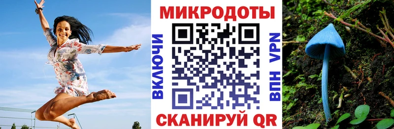 продажа наркотиков  blacksprut сайт  Псилоцибиновые грибы Magic Shrooms  Нерчинск 